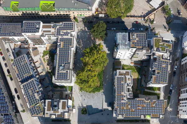 citydevbrusselstivoligreencity092019hdmarcdetiffe3.jpg