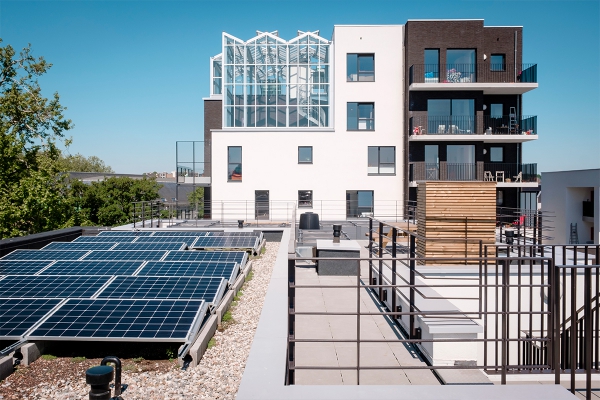 citydevbrusselstivoligreencity092019merlinmeuris3.jpg
