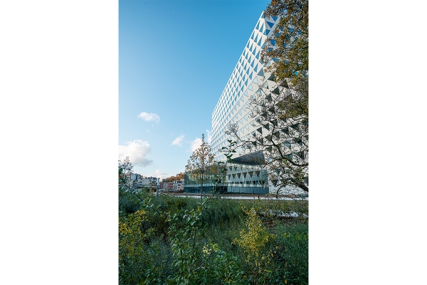 20191108zuidkantmettuinencongres.jpg