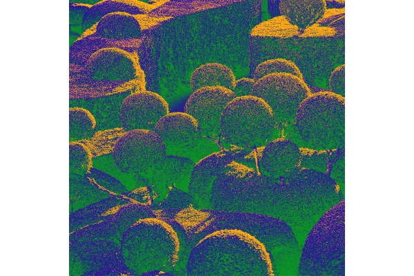 gardenfutures.jpg